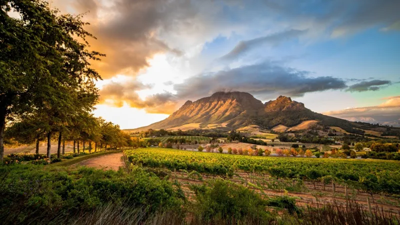 Wine Country Escape